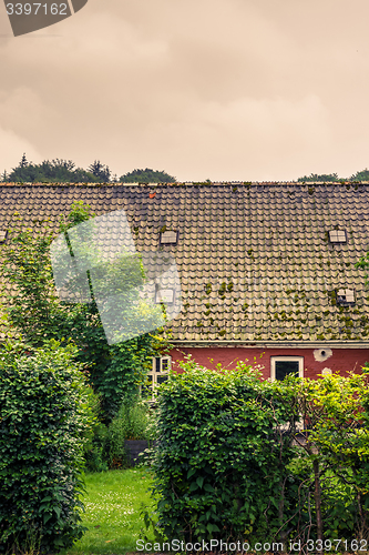 Image of Hedge at an old house