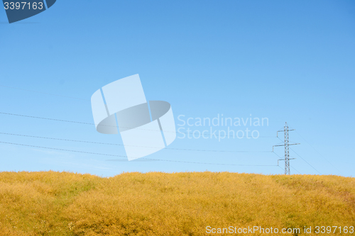 Image of Pylons on a yellow field