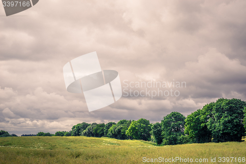 Image of Field landscape with cloudy weater