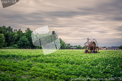 Image of Old water pump on a potato field