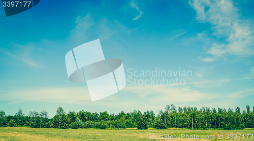 Image of Landscape with green trees and blue sky in the summertime