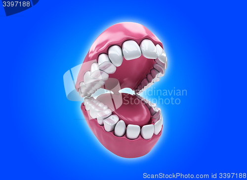 Image of Permanent teeth, adult dentition