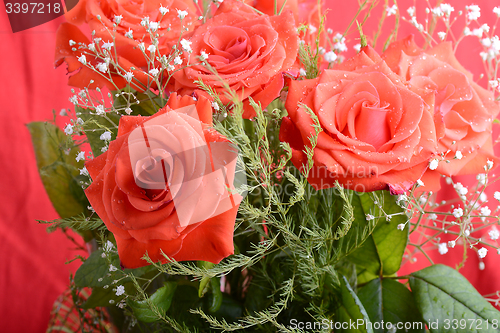 Image of Red roses Valentine background