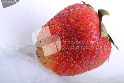 Image of Close up strawberry, food concept
