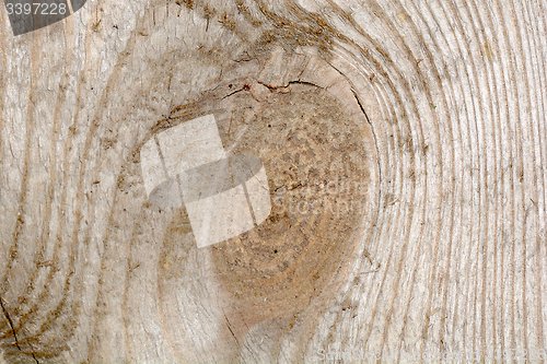 Image of Wooden texture, close up