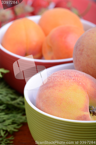 Image of Nectarines, strawberries, peach and apricots with green branch