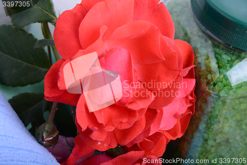 Image of Spa and wellness setting with sea salt, oil essence, flowers and towels on wooden background. Relax and treatment therapy. Summer season. Close up