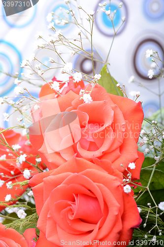 Image of A close up macro shot of a red rose
