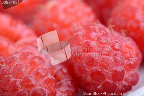 Image of Ripe red raspberries close up