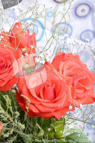 Image of beautiful red roses