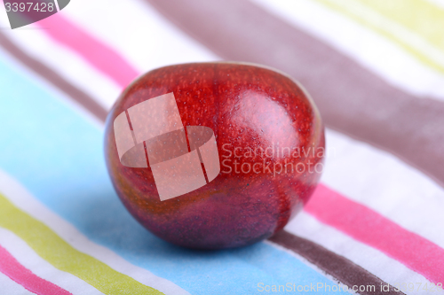 Image of fresh shiny cherries close up