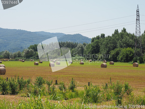 Image of Hay bale