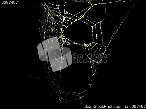 Image of Spider web