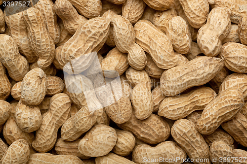 Image of In-shell peanuts