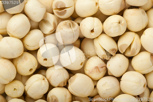 Image of Lotus seeds