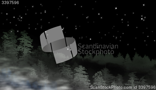Image of Landscape of misty forest at night