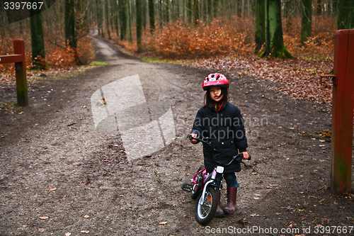 Image of Child in a forest on bike in denmark
