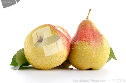 Image of Three ripe pears