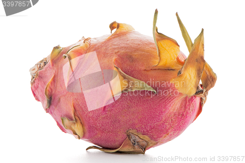 Image of Pitaya or Dragon Fruit 