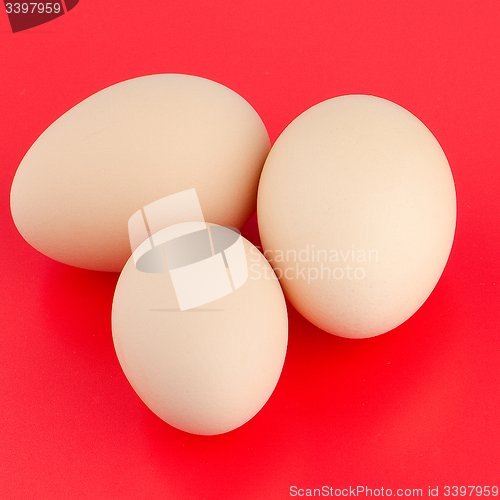 Image of Three brown eggs