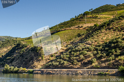 Image of Douro Valley