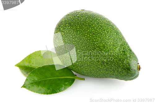 Image of Avocados on white 