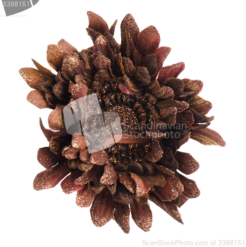 Image of Christmas decoration