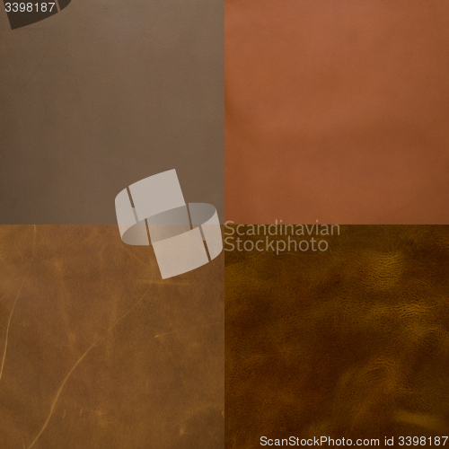 Image of Set of brown leather samples