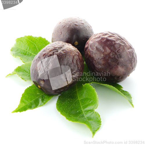 Image of Fresh passion fruit