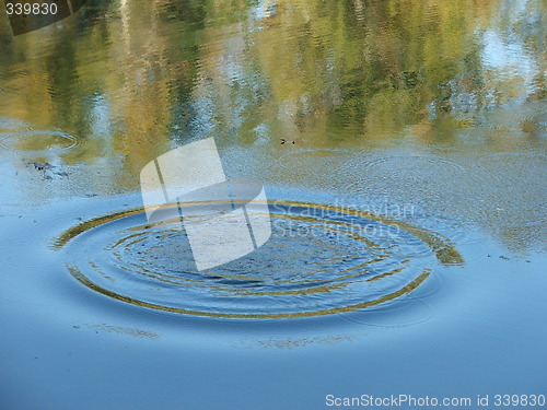 Image of ring on the water