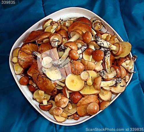 Image of mushrooms on the plate