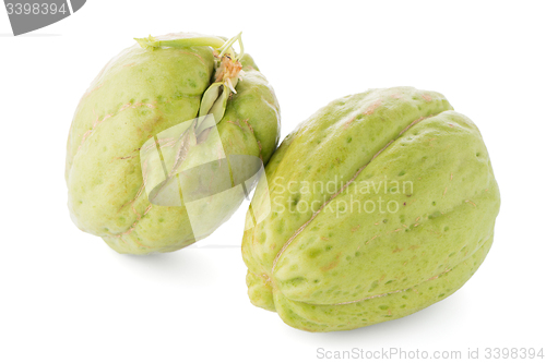 Image of Chayote