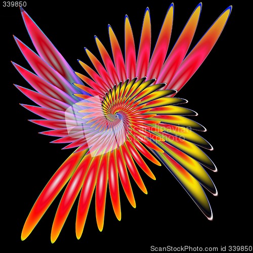 Image of Spiral fenix