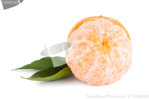 Image of Ripe tangerine or mandarin