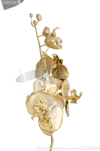 Image of Golden Christmas decoration branches