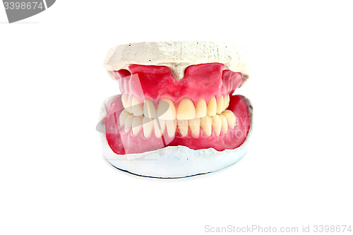 Image of teeth mold