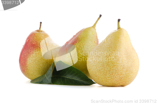 Image of Three ripe pears