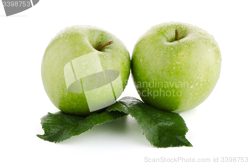 Image of Two fresh green apples