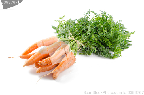 Image of Carrots