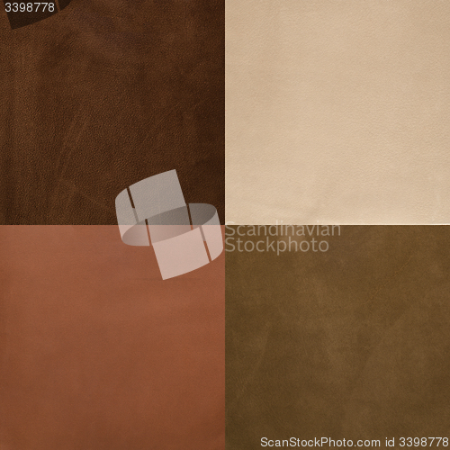 Image of Set of brown leather samples