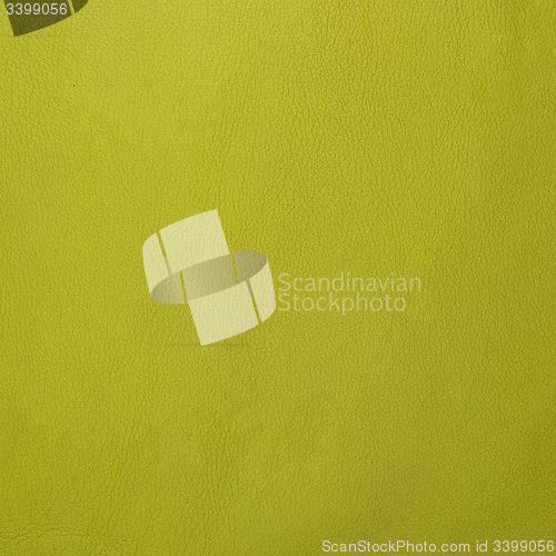 Image of Green leather