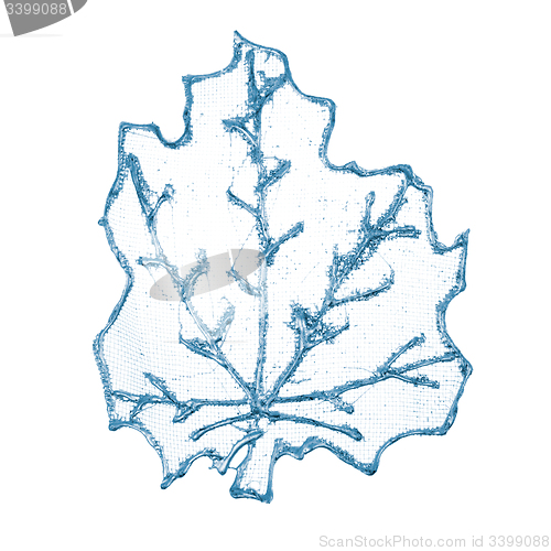 Image of Christmas decorative blue leaf