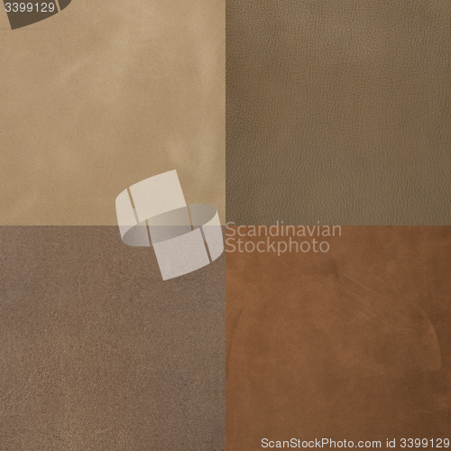 Image of Set of brown leather samples