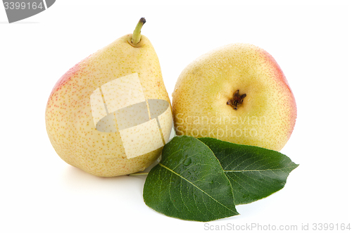 Image of Two ripe pears