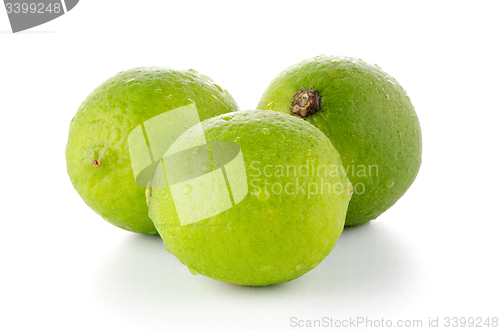 Image of Fresh green limes