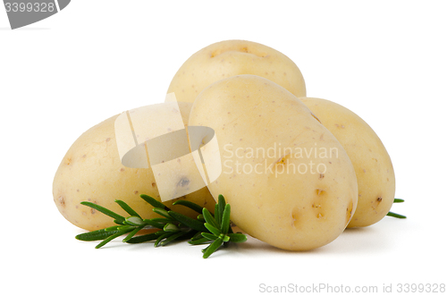 Image of New potatoes and green herbs