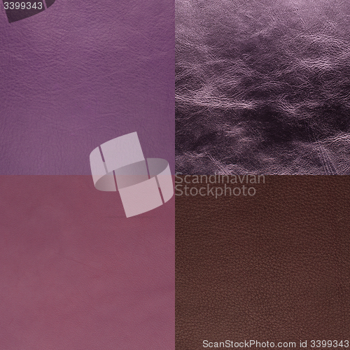 Image of Set of purple leather samples