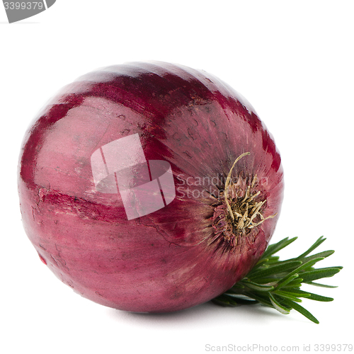 Image of Red onion