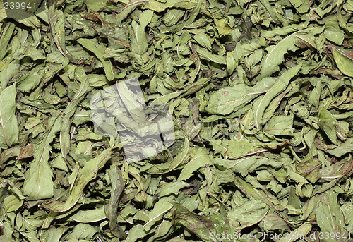 Image of Dried Mint
