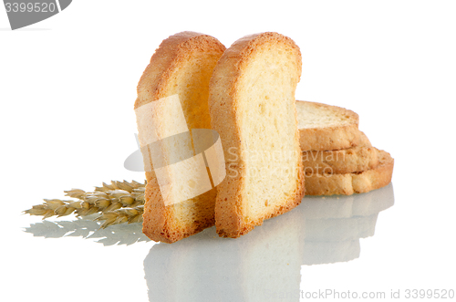 Image of Golden brown toast 